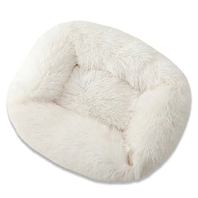 rjqCdWN1sffXrAI.webp